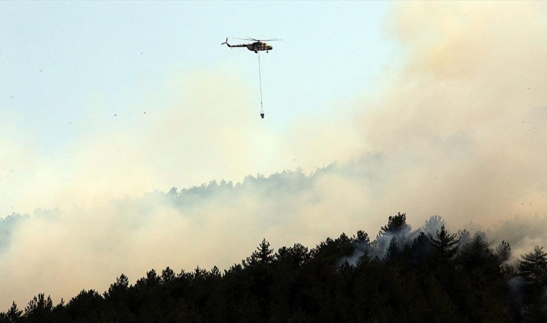 Kastamonu'nun İhsangazi ilçesinde çıkan orman yangınını söndürme çalışmaları devam ediyor.