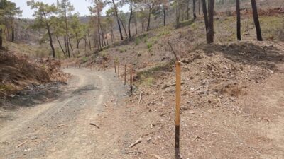 ANTALYA (AA) – Antalya'nın Kemer ilçesindeki geçen yıl 5 günde