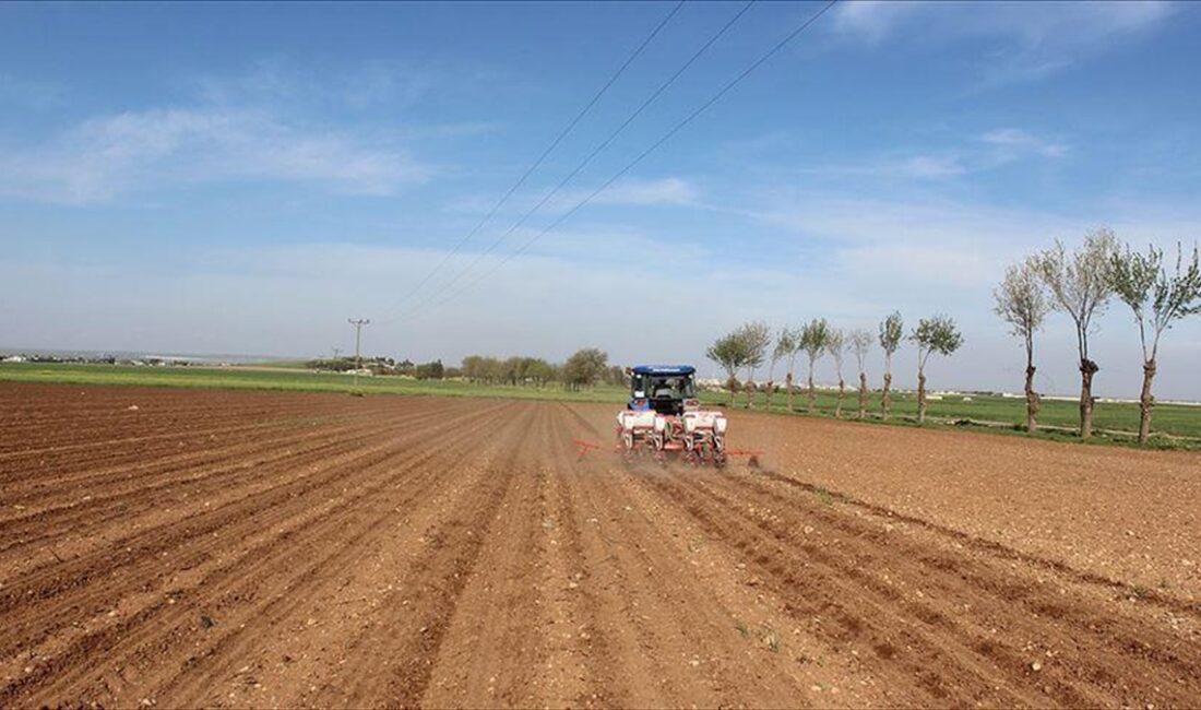 Kırsal Kalkınma Programı İzleme Komitesi, Avrupa Birliği Katılım Öncesi Yardım