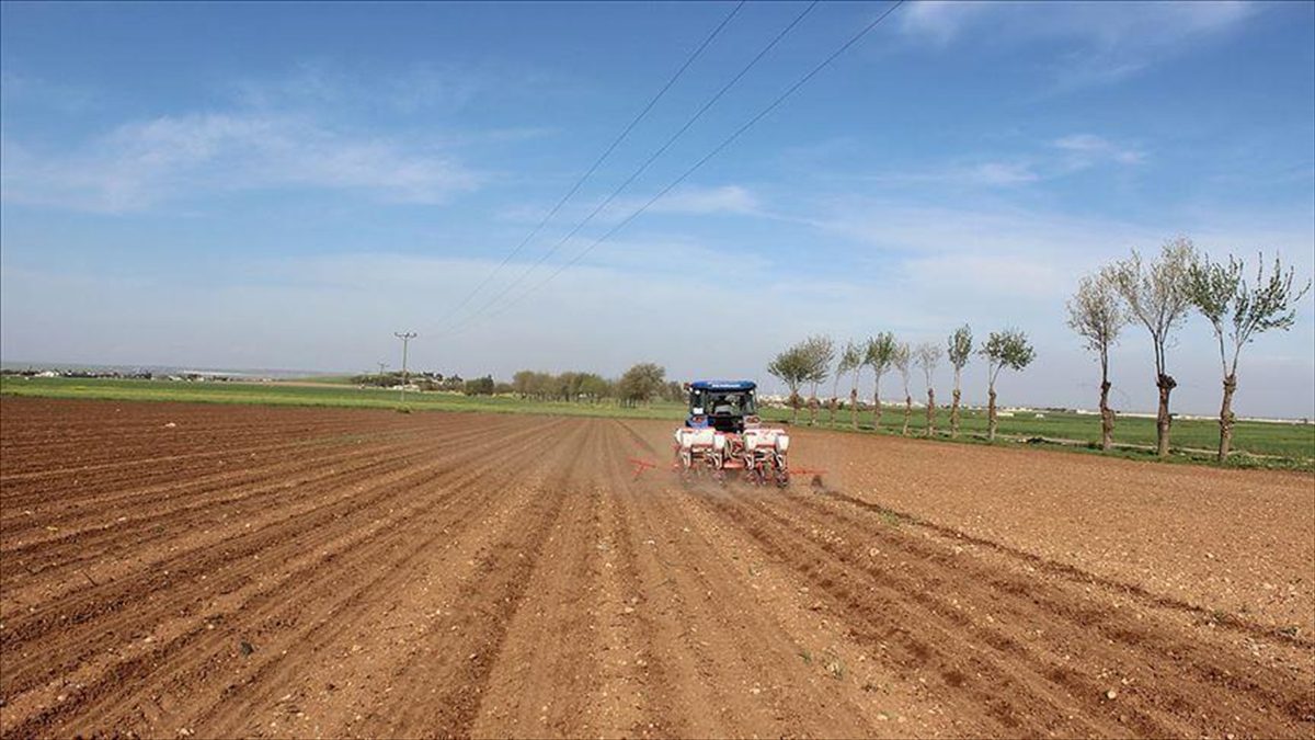 Kırsal Kalkınma Programı İzleme Komitesi, Avrupa Birliği Katılım Öncesi Yardım