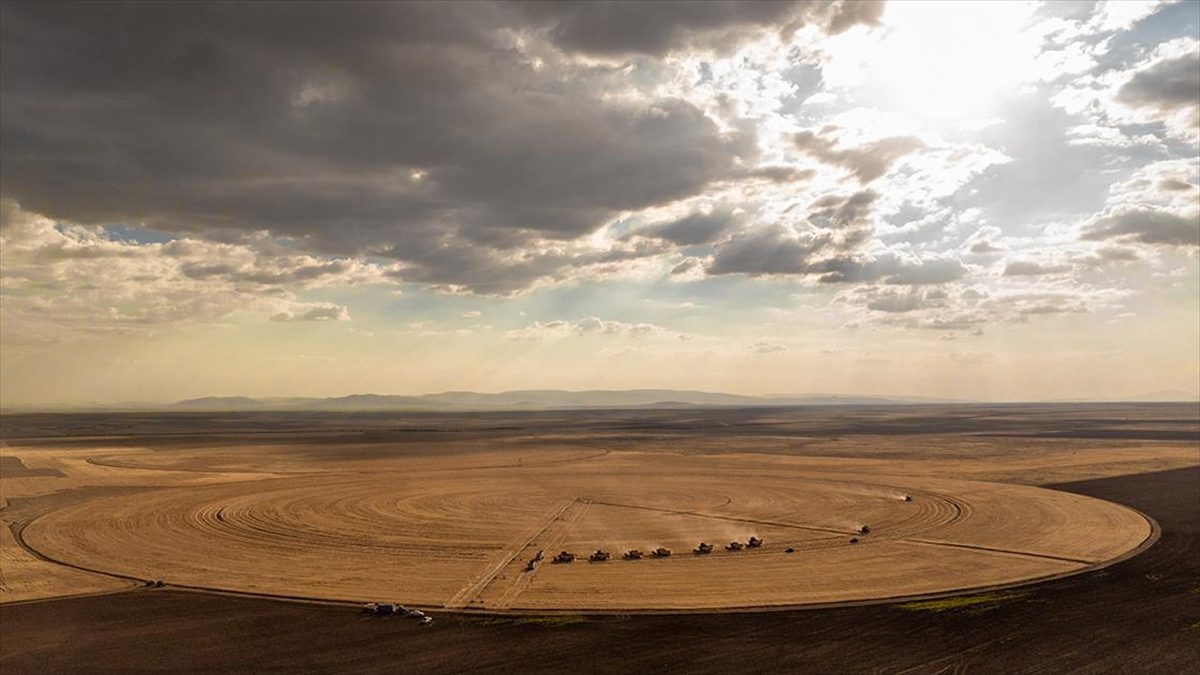 KONYA (AA) – Modern ekipmanların ve teknolojin kullanıldığı Konya’nın Sarayönü