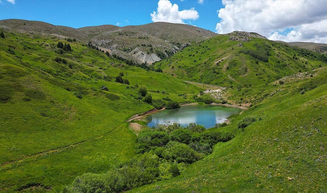 Doğu Anadolu ile Karadeniz bölgelerini birbirine bağlayan geçit konumundaki 2