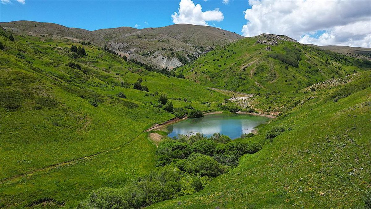 Doğu Anadolu ile Karadeniz bölgelerini birbirine bağlayan geçit konumundaki 2