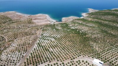 Elazığlı orman mühendisi Bülent Gürgöz, köyünde Hazine'ye ait kullanılmayan 100
