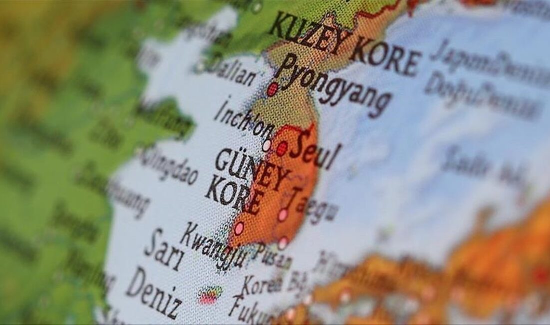Kuzey Kore'nin gönderdiği çöp balonlarından birinin Güney Kore Devlet Başkanlığı