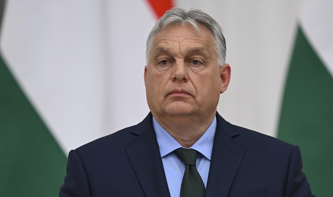 Macaristan Başbakanı Viktor Orban, "her ulusun ne olduğunu gösterme hakkı"