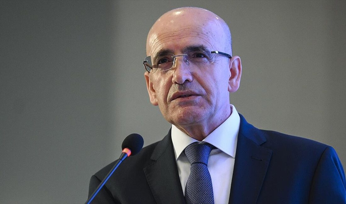 Hazine ve Maliye Bakanı Şimşek, "Ulusal Taşıt Tanıma Sistemi'nin devreye