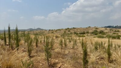 ANTALYA (AA) – Antalya Valisi Hulusi Şahin ve beraberindeki heyet,