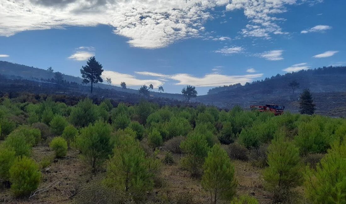 Manisa'nın Soma ilçesinde dün ormanlık alanda çıkan ve şiddetli rüzgarın