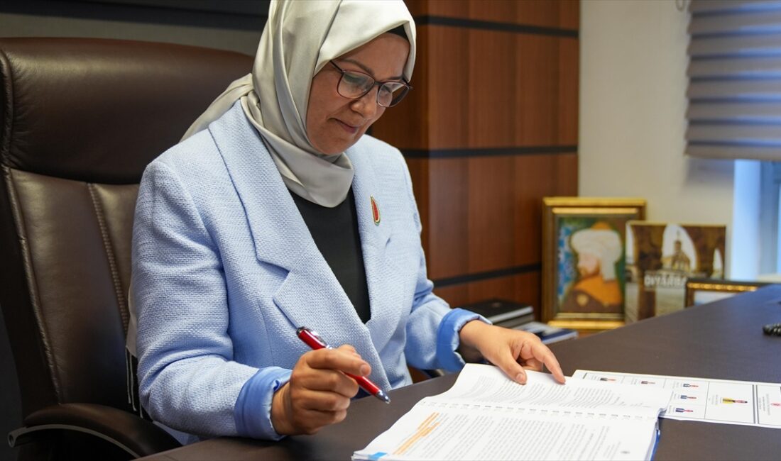 TBMM İnsan Haklarını İnceleme Çocuk Hakları Alt Komisyonu Başkanı Radiye