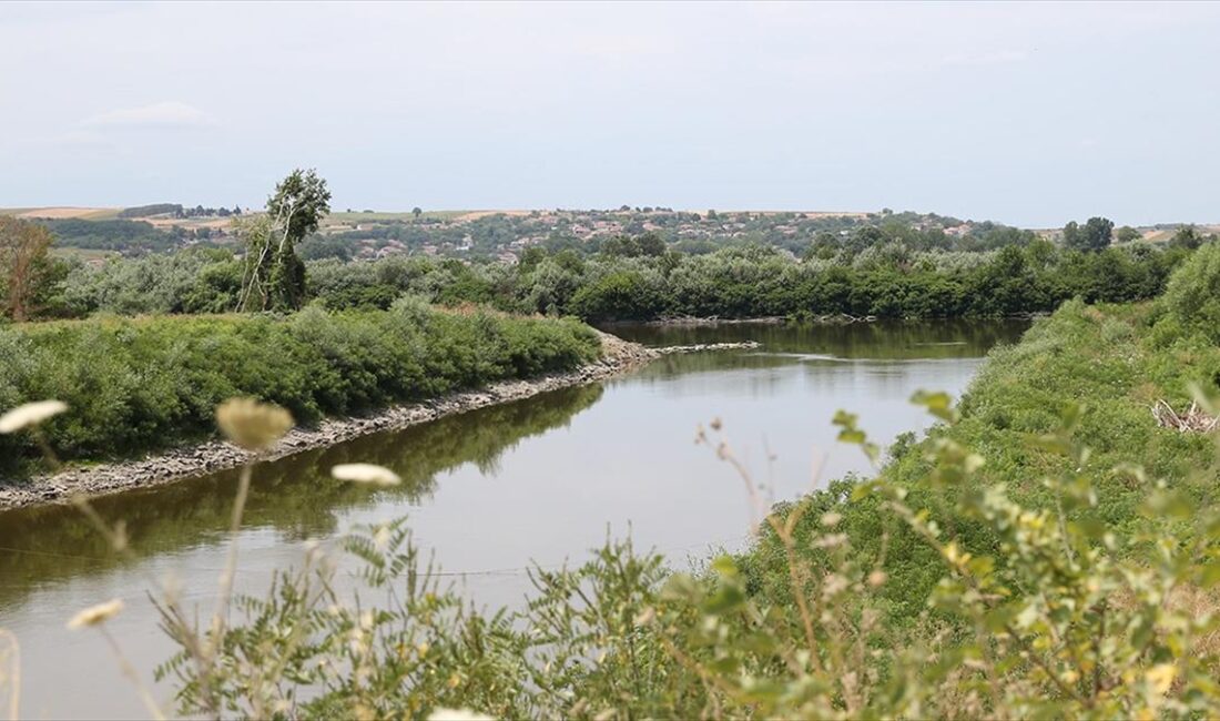 Edirne'de kuraklık ve tarımsal sulamaya bağlı olarak su seviyesi düşen,