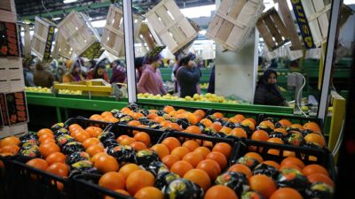 Meyve ve sebze mamulleri sektörünün ihracatı, bu yılın ilk yarısında