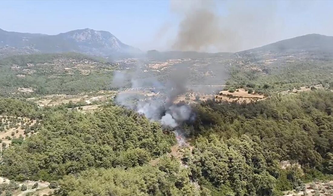 Muğla'nın Milas ilçesi, Ören Mahallesi Alatepe mevkisindeki ormanlık alanda henüz