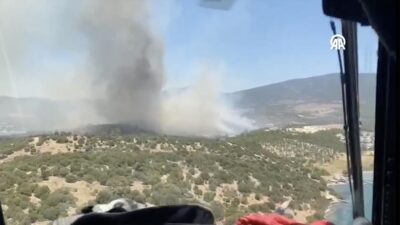 MUĞLA (AA) – G&uuml;zel&ccedil;amlar Mahallesi Kazıklı Pamukd&uuml;z&uuml; mevkisindeki ormanlık alanda