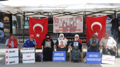 Muş'ta, çocuklarının terör örgütü PKK tarafından dağa götürülmesinden DEM Parti'yi