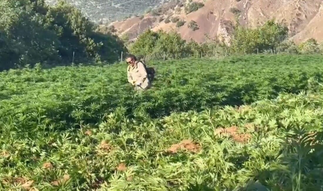 İçişleri Bakanı Ali Yerlikaya, uyuşturucu madde imalatı ve satışı yapanlara