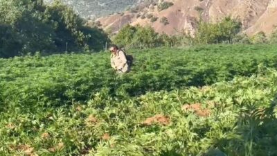 İçişleri Bakanı Ali Yerlikaya, uyuşturucu madde imalatı ve satışı yapanlara