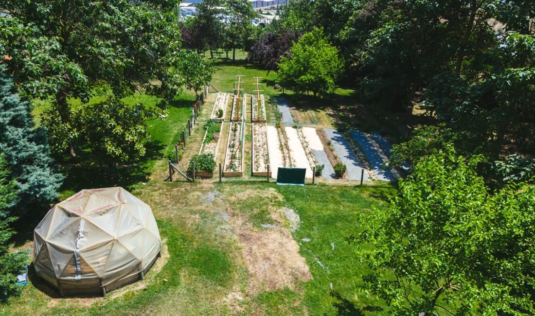 İSTANBUL (AA) – Sabancı Vakfı'nın "Kokopelli Şehirde" adlı ekolojik sosyal