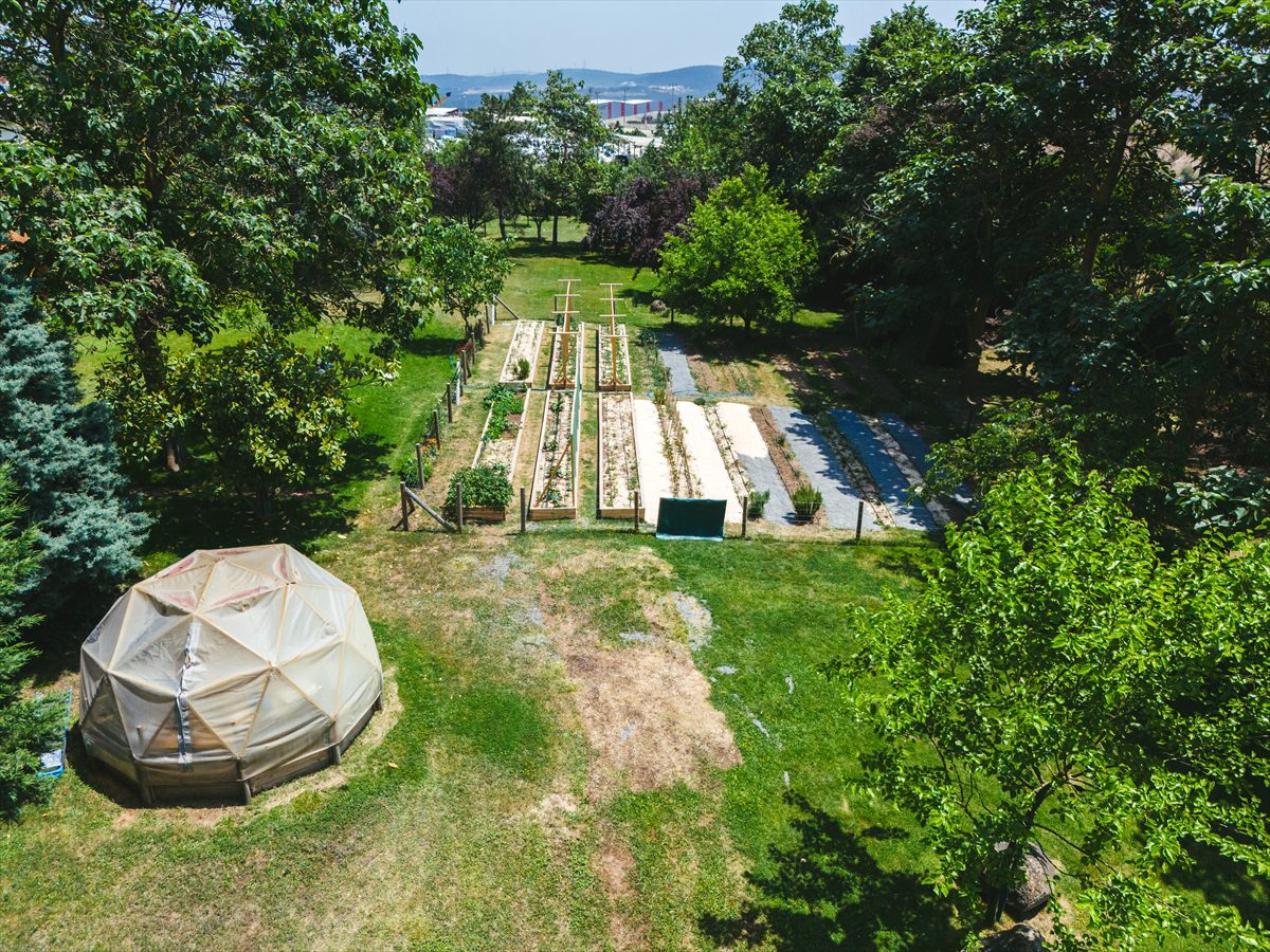 İSTANBUL (AA) – Sabancı Vakfı'nın "Kokopelli Şehirde" adlı ekolojik sosyal