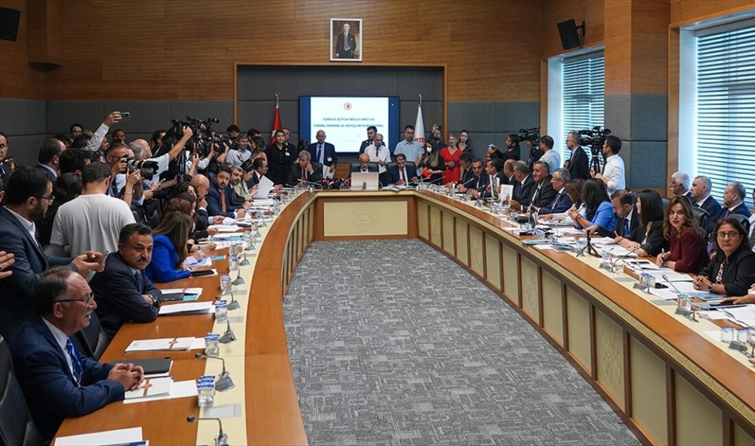 Sahipsiz hayvanlara yönelik düzenlemeler içeren kanun teklifinin TBMM Tarım, Orman