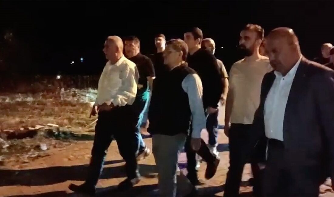 Sinop Valisi Mustafa Özarslan, sağanağın etkili olduğu Erfelek ilçesinde incelemelerde
