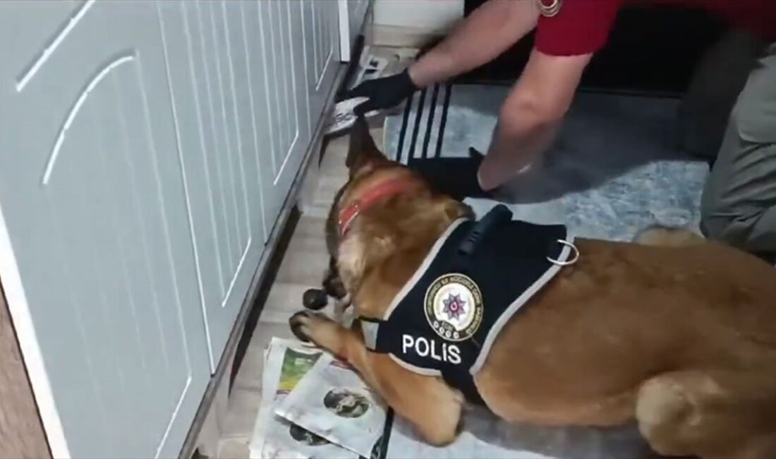 İçişleri Bakanı Ali Yerlikaya, Karabük merkezli 3 ilde düzenlenen "Kuyu-10"