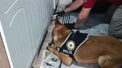 İçişleri Bakanı Ali Yerlikaya, Karabük merkezli 3 ilde düzenlenen "Kuyu-10"