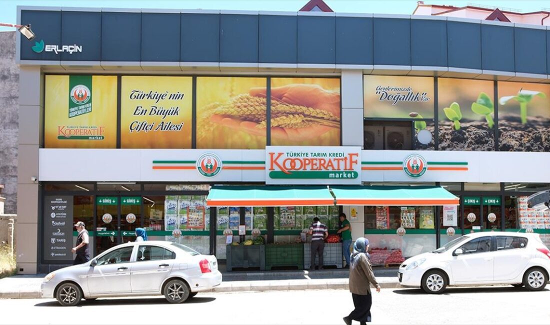 Türkiye Tarım Kredi Kooperatifleri Genel Müdürü Hüseyin Aydın, "Marketlerimizde ortalama
