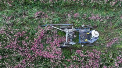 Tarım sektörü, bu yılın ilk 6 ayında 17,5 milyar dolarla