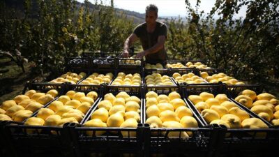 TBMM Tarım, Orman ve Köyişleri Komisyonu Başkanı Kirişci, tarımda üretici
