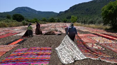 ANTALYA (AA) – SÜLEYMAN ELÇİN – Antalya'da tarlalara serilen binlerce