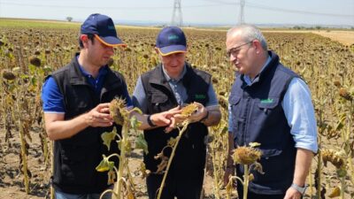 İSTANBUL (AA) – TARSİM heyeti Edirne'de saha ziyareti gerçekleştirdi. Şirketten