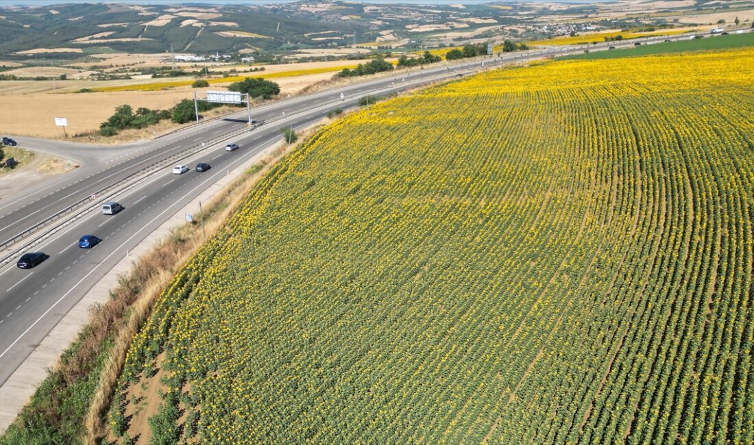 TEKIRDAĞ (AA) – Tatil sezonunun başlamasıyla trafiği artan Tekirdağ-Çanakkale kara