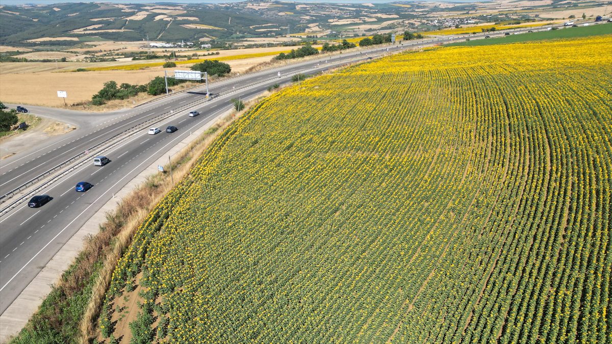 TEKIRDAĞ (AA) – Tatil sezonunun başlamasıyla trafiği artan Tekirdağ-Çanakkale kara