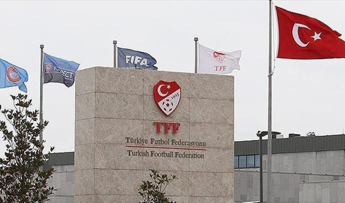 Türkiye Futbol Federasyonunda (TFF) yeni dönemin Tahkim Kurulu, Profesyonel Futbol