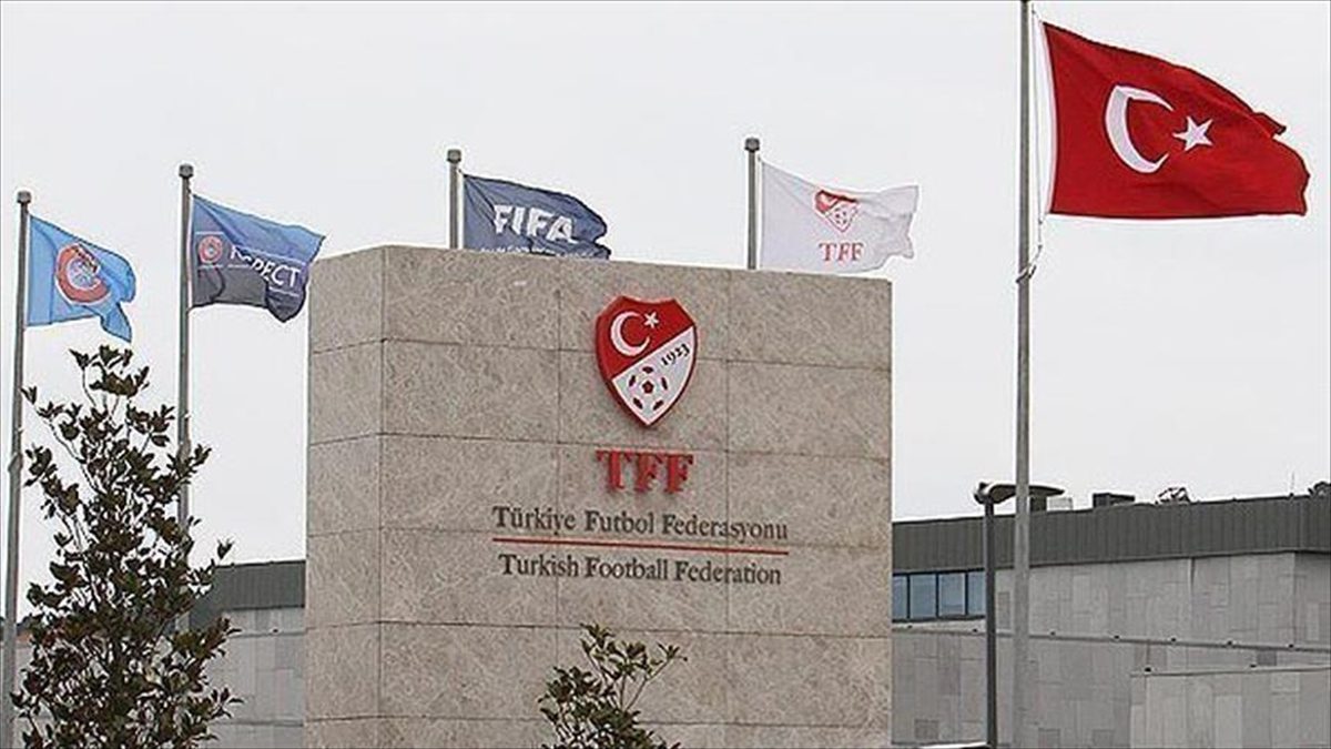 Türkiye Futbol Federasyonunda (TFF) yeni dönemin Tahkim Kurulu, Profesyonel Futbol