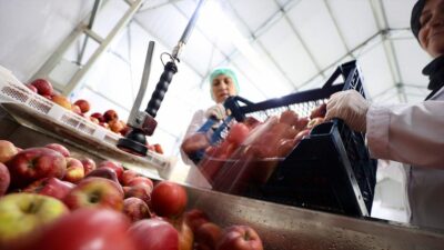 Ticaret Bakanı Ömer Bolat, "Kooperatifler, mal alımlarında 400 bin lira,