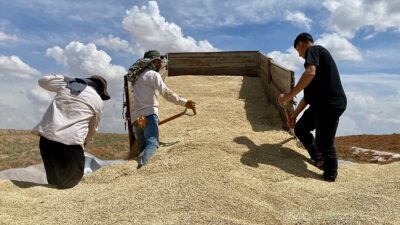 Toprak Mahsulleri Ofisi (TMO) Genel Müdürü Ahmet Güldal, geçen yıl