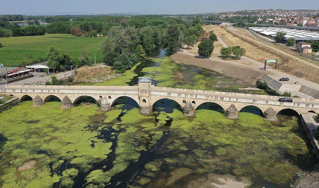 Edirne'nin önemli su kaynaklarından Tunca Nehri'nde, kuraklık ve aşırı sıcaklara