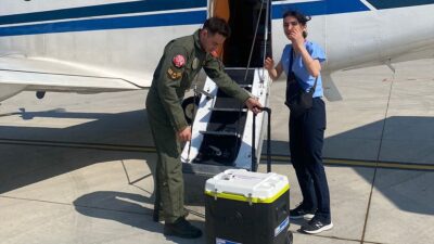 Milli Savunma Bakanlığı, Türk Kara Kuvvetlerine ait uçakla İstanbul'dan alınan