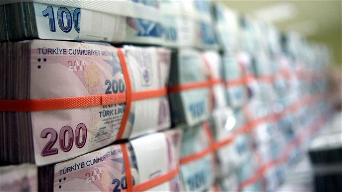 Reel efektif döviz kuru endeksi, Haziran 2024'te TÜFE bazında 0,36