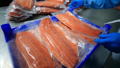 Türkiye'nin somon ihracatı, yılın ilk 6 ayında yıllık bazda yüzde