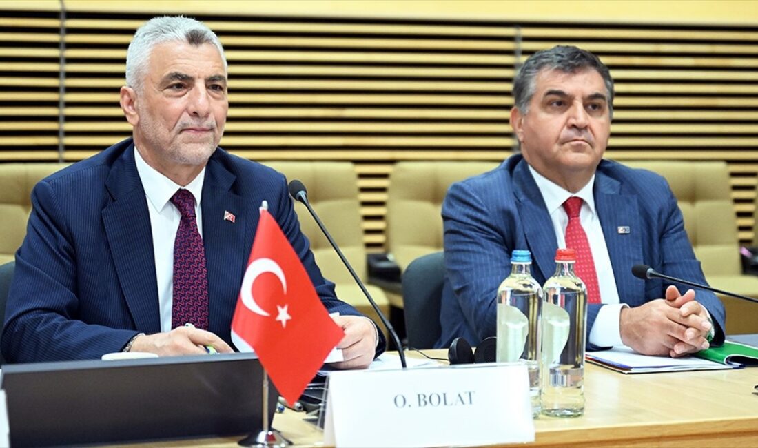 Bakan Bolat, Türkiye ile AB arasındaki ticari ve ekonomik ilişkileri