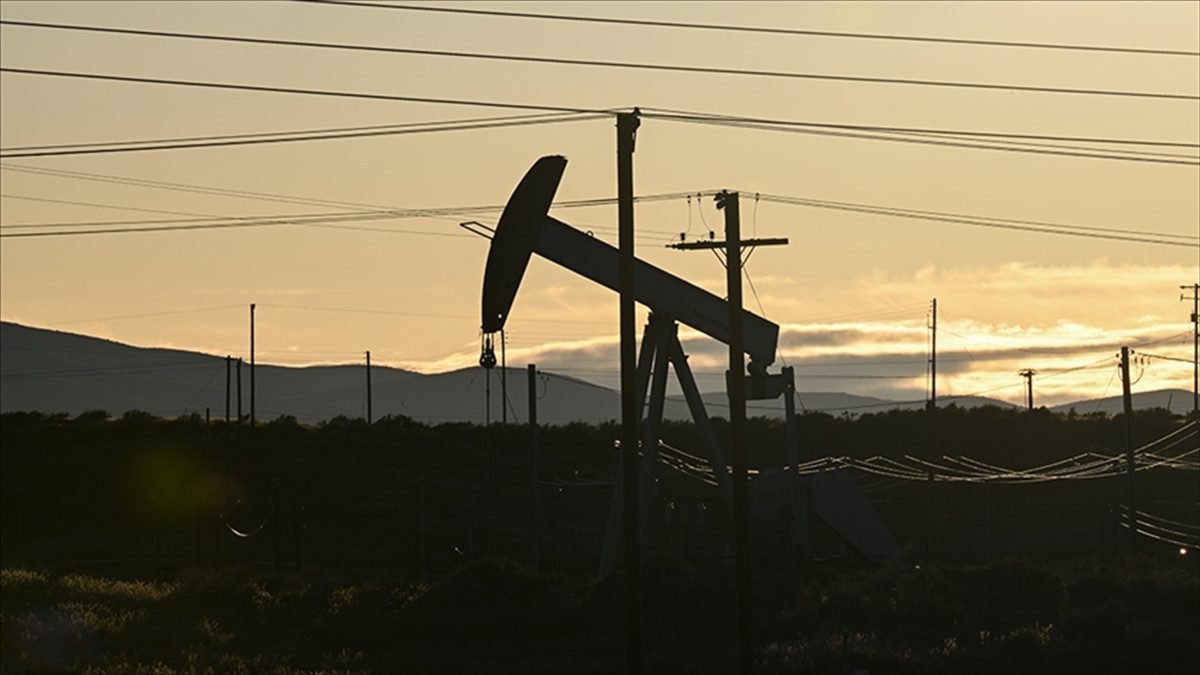 Türkiye'nin toplam petrol ve petrol ürünleri ithalatı, mayısta geçen senenin