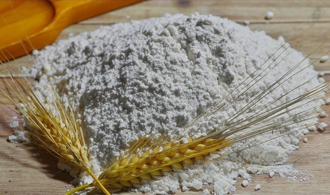 Türkiye'nin un ihracatı ilk 6 ayda geçen yılın aynı dönemine
