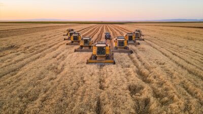 Türkiye Un Sanayicileri Federasyonu Başkanı Haluk Tezcan, "Bu sezon un