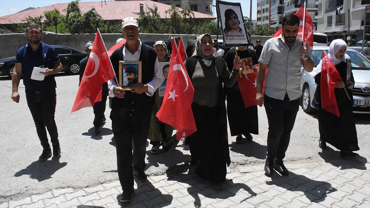 Van'da çocukları dağa kaçırılan aileler, Halkların Eşitlik ve Demokrasi Partisi