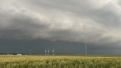 Dünya Meteoroloji Örgütü (WMO), 2023'te Afrika'nın güneydoğu kıyılarını etkileyen Freddy