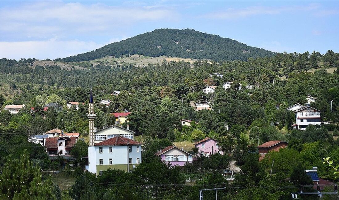 Yaylada oluşturulan 60 dönümlük alanda 25 karavan, 100 çadırlık kamp