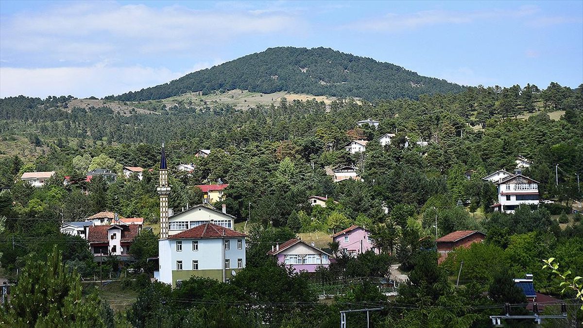 Yaylada oluşturulan 60 dönümlük alanda 25 karavan, 100 çadırlık kamp